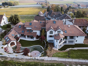 Michel Ange Ferbl Ref